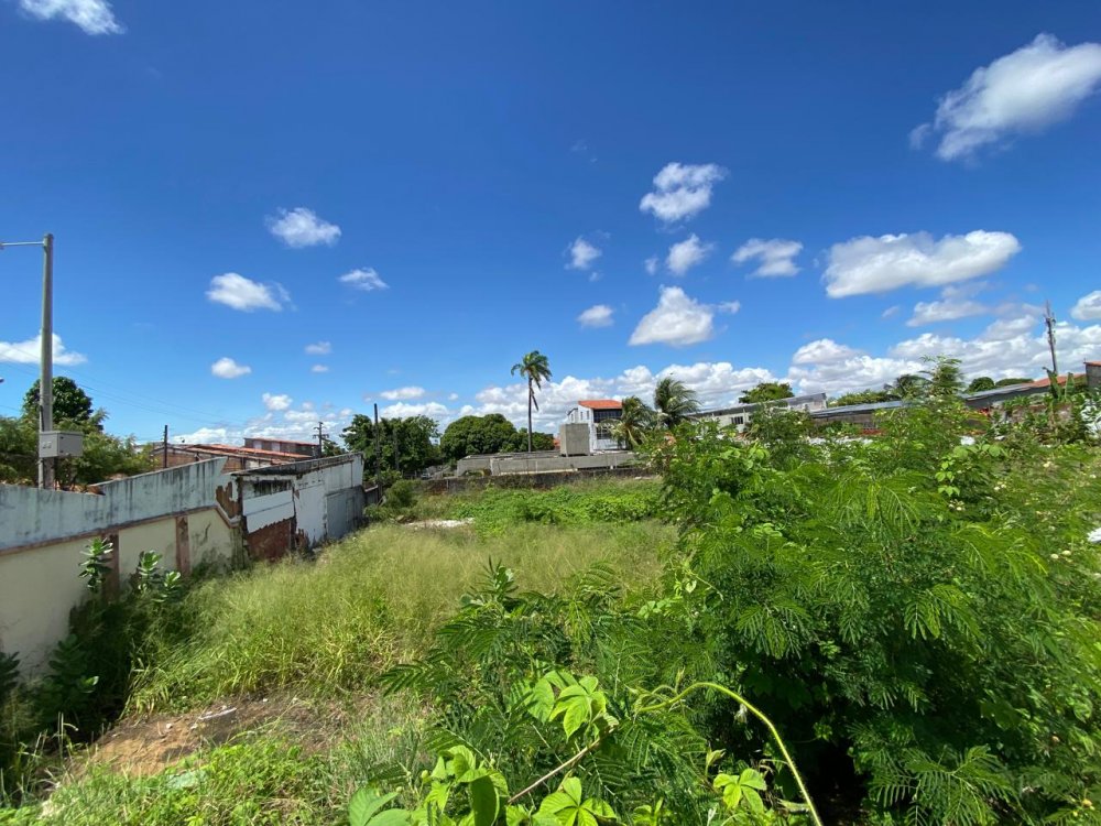 Vista dos fundos do terreno no lado nascente