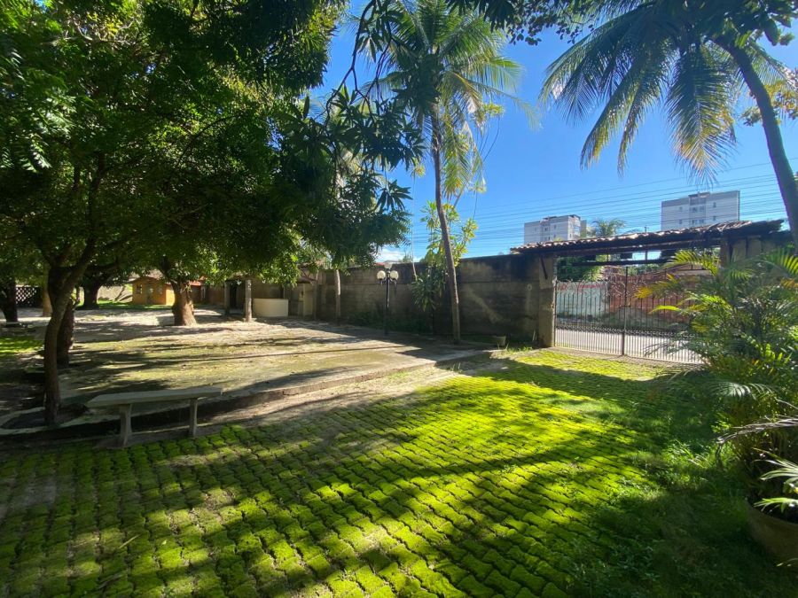 Amplo espa�o interno com plantas e fruteiras