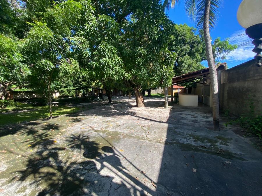 Amplo espa�o interno com plantas e fruteiras