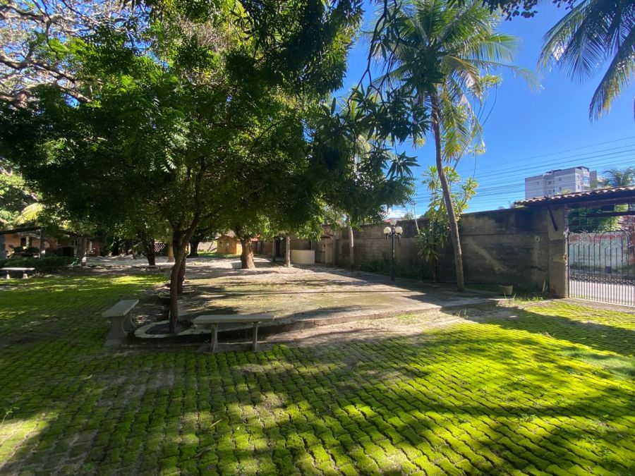 Amplo espa�o interno com plantas e fruteiras