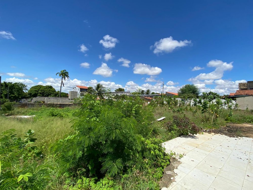 Vista dos fundos do terreno no lado poente