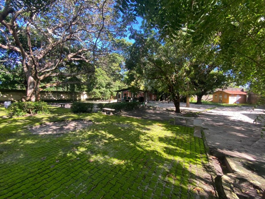 Amplo espa�o interno com plantas e fruteiras