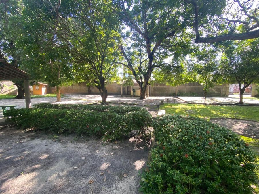 Amplo espa�o interno com plantas e fruteiras