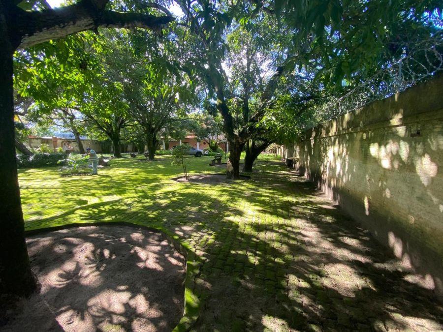 Amplo espa�o interno com plantas e fruteiras