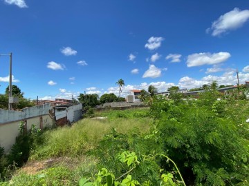 Vista dos fundos do terreno no lado nascente