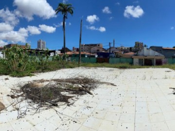 Vista do sul para o norte