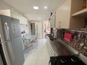 ozinha projetada