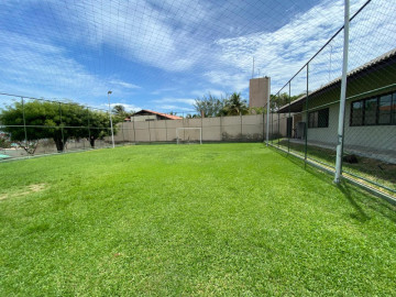 Campos de futebol gramado