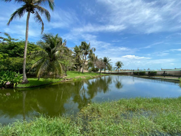 Lago